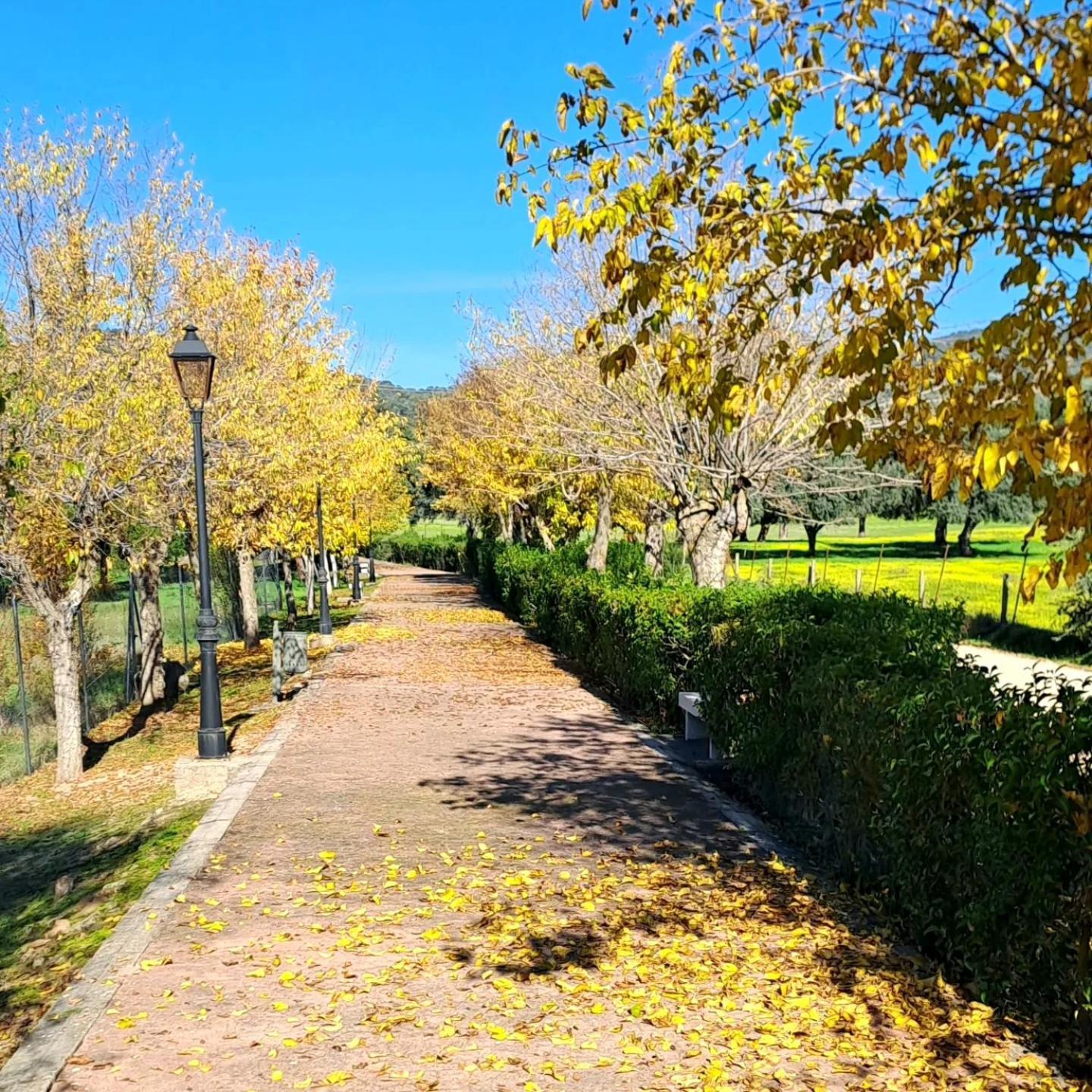 Casa El Frenazo Guest House Garciotum Екстериор снимка